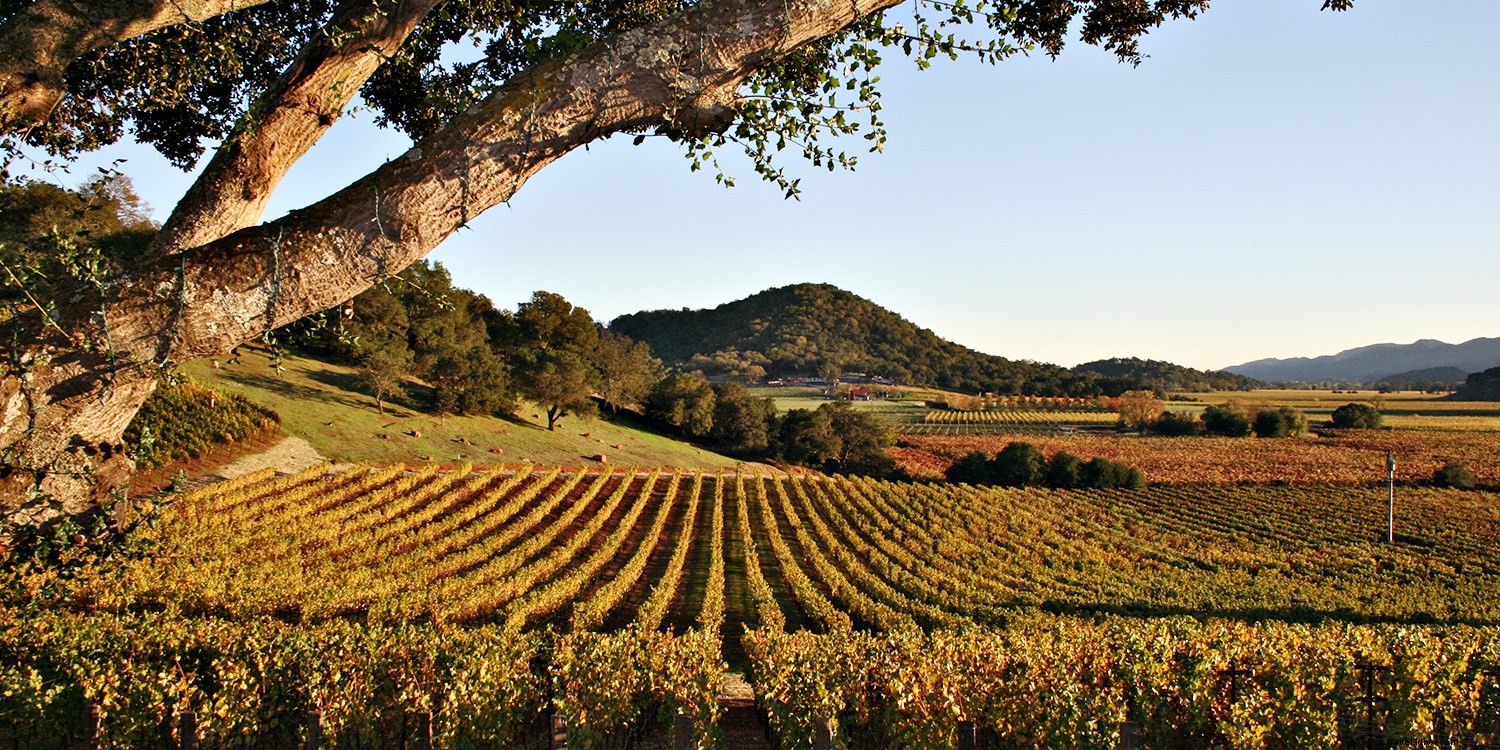 8 foto che dimostrano che questo è uno degli hotel più lussuosi di Napa 